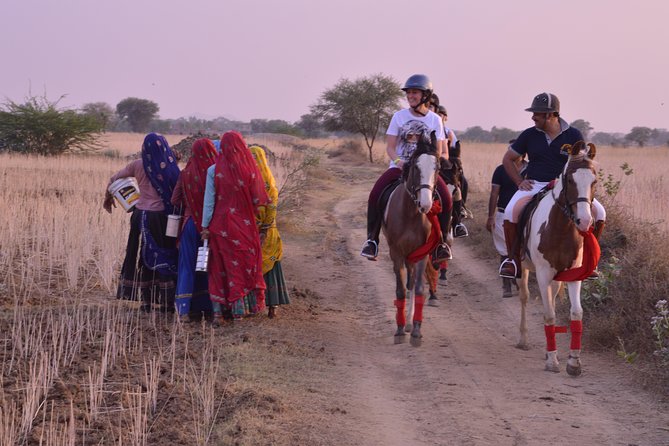Jaipur Horse Riding Adventure - Is $166.56 a fair price?