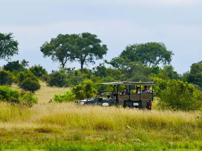 Jaipur: Jhalana Amagarh Leopard Reserve 4×4 Jeep Safari - A leopard reserve inside Jaipur
