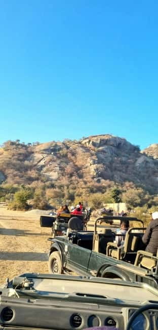 Jaipur: Jhalana Amagarh Leopard Reserve 4×4 Jeep Safari - Morning, afternoon, or sunset?