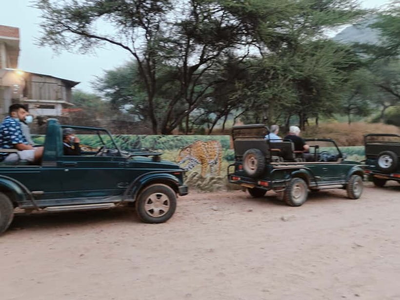 Jaipur: Jhalana Amagarh Leopard Reserve 4×4 Jeep Safari - Is $60 a fair price?