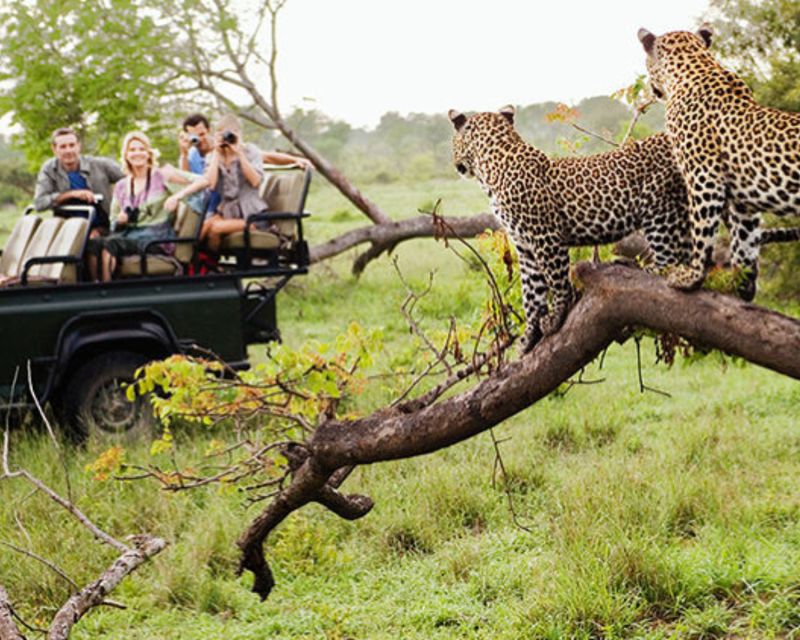 Jaipur: Jhalana/Amargarh Leopard Safari Private Tour - Key points to know before booking