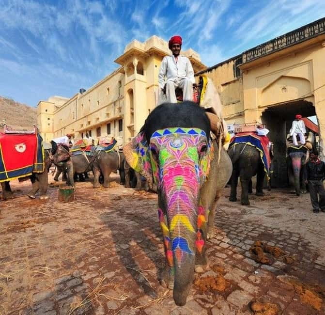 Jaipur : Night Heritage Walk & Street Food Tasting in Jaipur - Who should book this Jaipur walk?