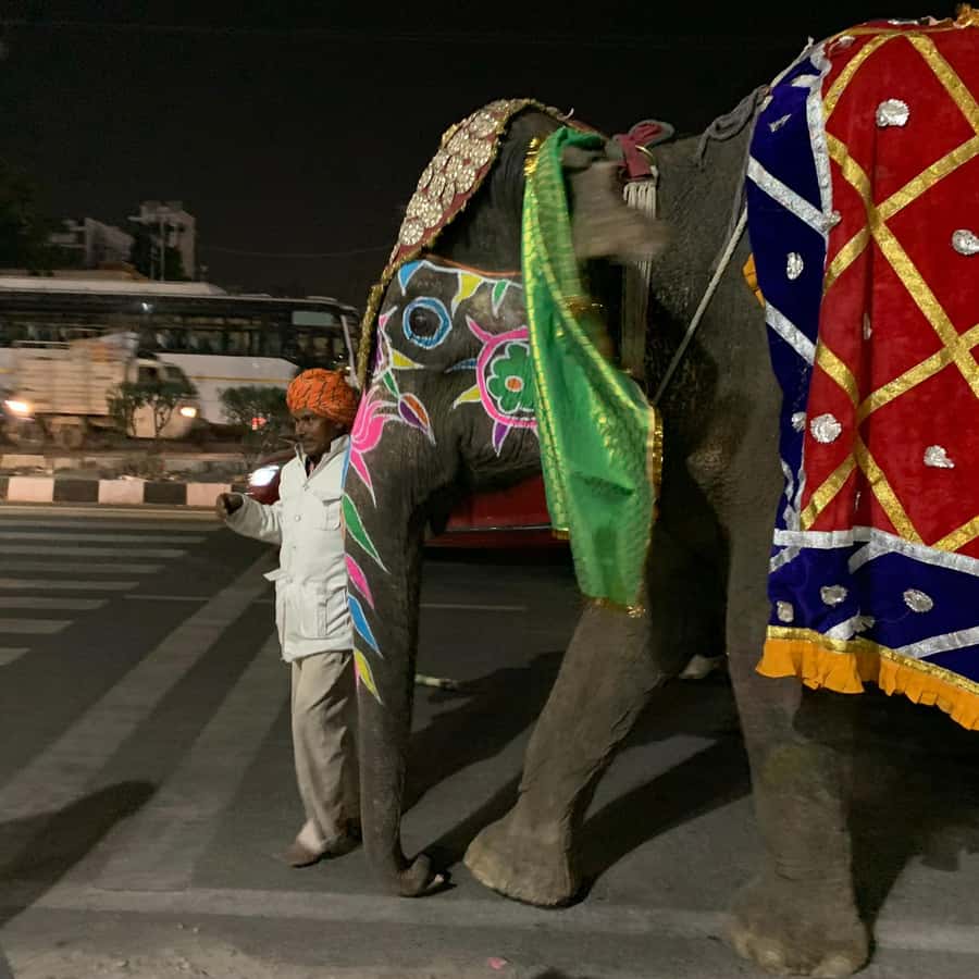 Jaipur: Night Tuk-Tuk Tour With Friendly Local Driver - Ice cream at a local Jaipur parlour