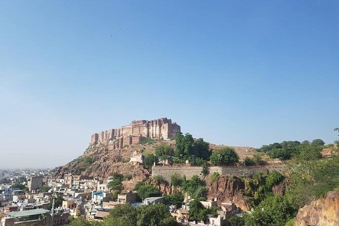 Jaipur Pink City Tour by Car or Tuk-Tuk - Royal Gaitor, where marble meets quiet