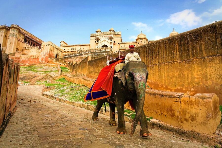 Jaipur: Private Full-Day City Tour by Tuk-Tuk or Car - Start early at Jaipur’s wholesale flower market