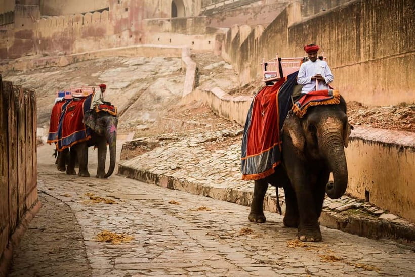 Jaipur: Private Full-Day City Tour By Tuk-Tuk with Pick-Up - Amber Fort gets the longest look