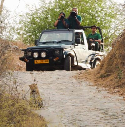 Private Jhalana Leopard Safari Tour