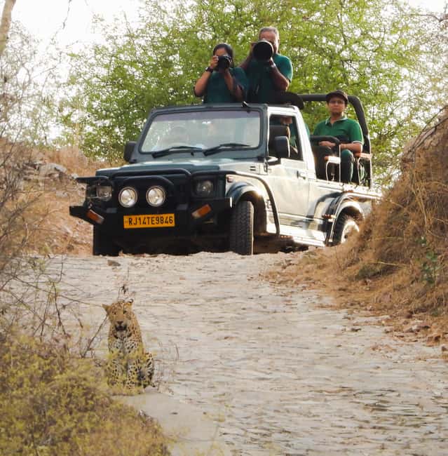 Jaipur: Private Jhalana Leopard Safari Tour - Searching for Jhalana’s leopards