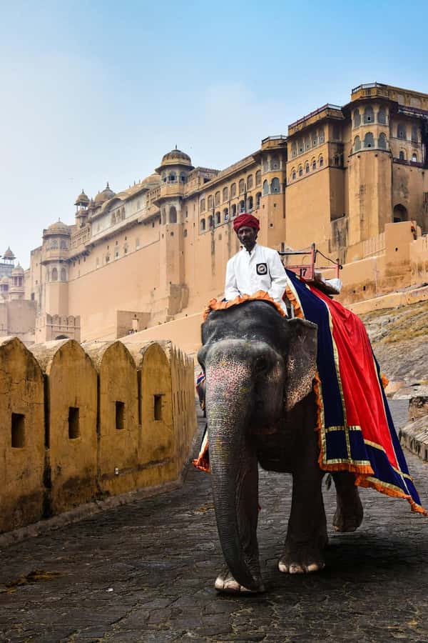 Jaipur: Private PinkCity & Stepwell Heritage Tour with Guide - City Palace and the former royal household