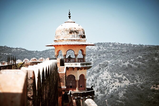 Jaipur Private Tour 2 Days with Car & Guide - Day two: Jal Mahal and the Amber Fort area