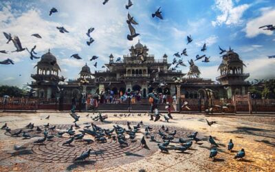 Private Tour for Instagram and Photography Lovers