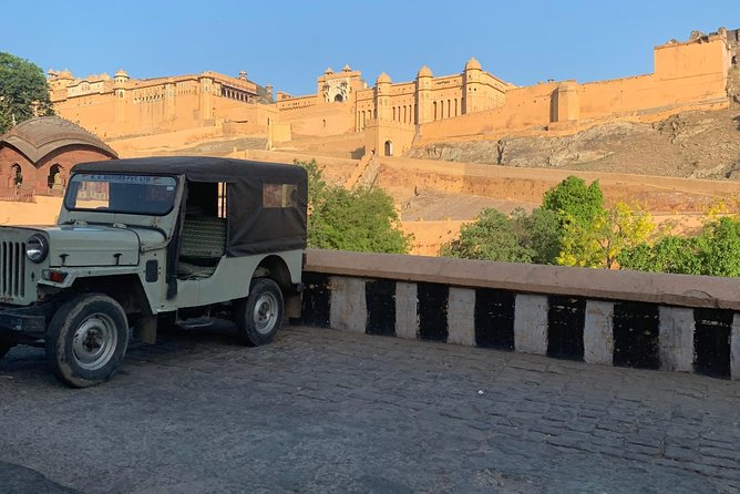 Jaipur Sightseeing By Car, Driver and Guide - Albert Hall Museum as a final visual stop