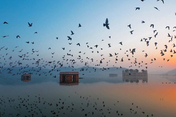 Jaipur Sunrise Tour with Morning Flower Market Walk - Jal Mahal at first light