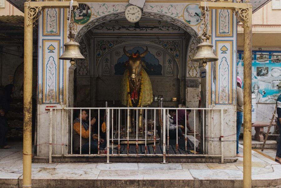 Jaipur: Temple Tour - Key points to know before you book
