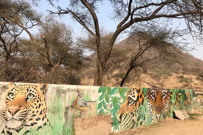 Jaipur to Jhalana Leopard reserve Private Day Trip All Inclusive - Meeting your driver anywhere in Jaipur