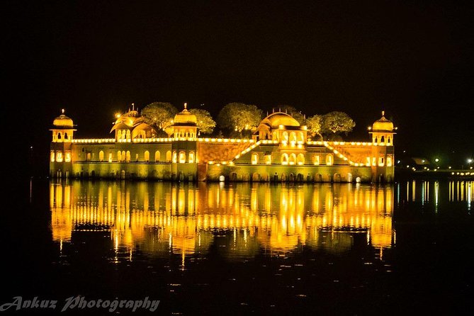 Jaipur to Ranthambore Day Trip with Tiger Safari - A Big Wildlife Day from Jaipur