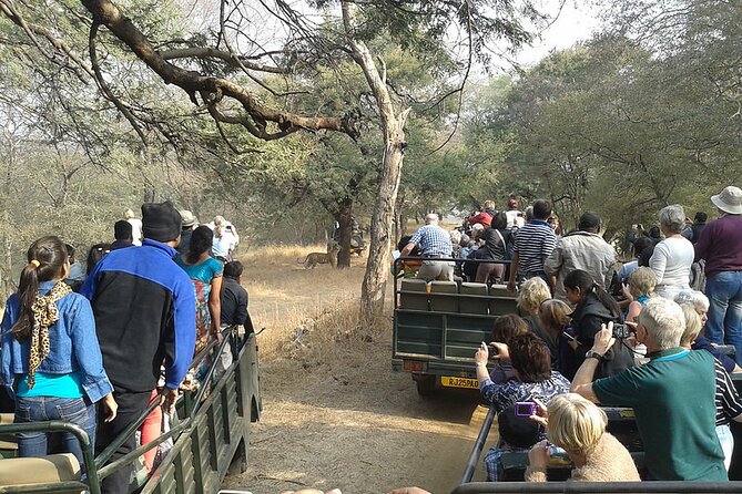 Jaipur to Ranthambore National Park Private One Day Trip - Why Ranthambore makes a demanding day trip worthwhile