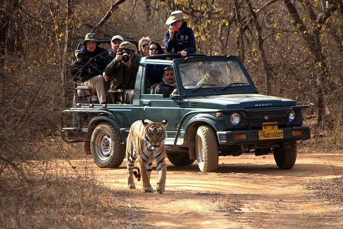 Jaipur to Ranthambore National Park Private One Day Trip - The road from Jaipur to Ranthambore