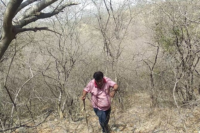 Jaipur Trekking and Hiking Tour with Guide - Visiting Nahargarh Fort after the walk