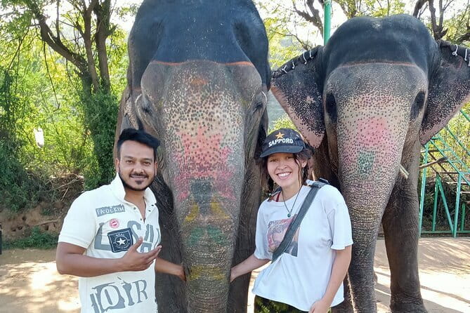 Jaipur Tuktuk Local Sightseeing Day Tour - Why a tuk-tuk works well for Jaipur