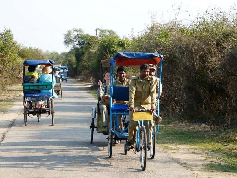 Keoladeo National Park Tickets and Guided Tour - The birds and animals you may see