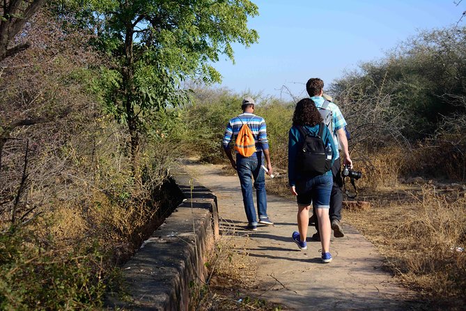 Nahargarh Water Walk - Guided 2-Hour Heritage Tour in Jaipur - Channels, Aqueducts, and the Work of Moving Water