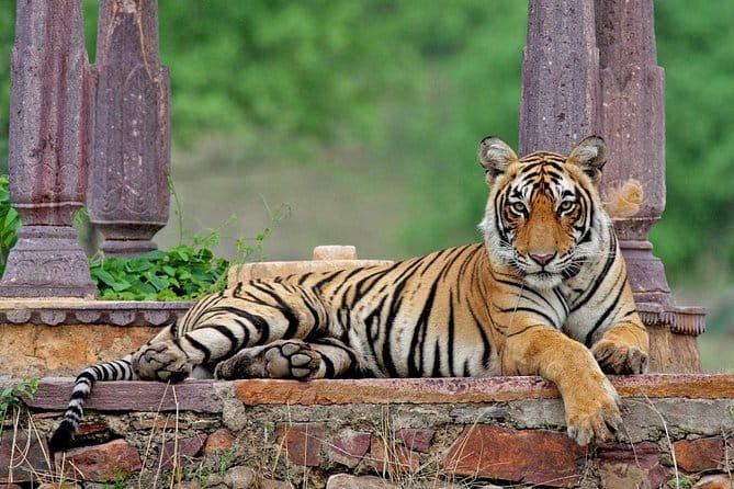 Night Safari in Jaipur on an Open Jeep - Hawa Mahal shows its best-known face from the street
