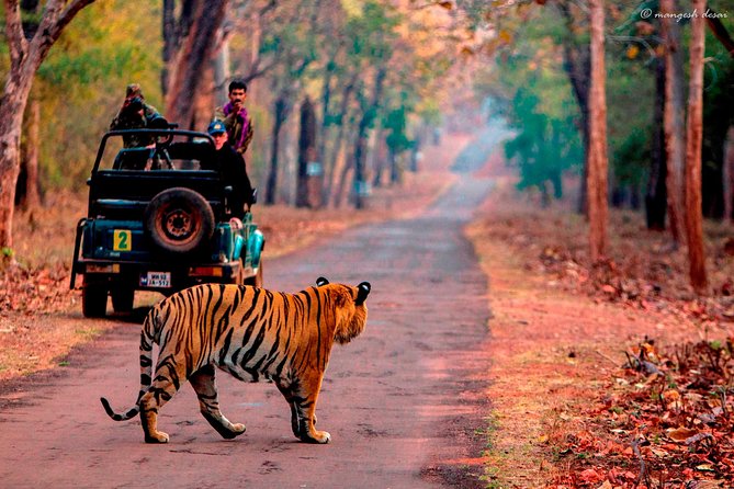 One Way Transfer Jaipur to Sawai Madhopur Hotels In AC Vehicle - A practical bridge from Jaipur to Ranthambore