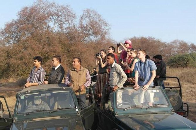 Private 4-Day Wildlife & Taj Mahal Tour from Jaipur to Delhi - Day one: Jaipur to Ranthambore Fort and safari country