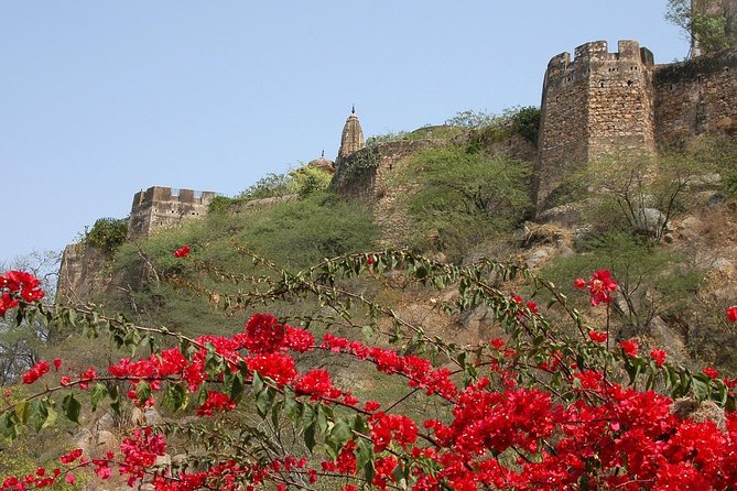 Private 6 Hours: Jaipur Temples Tour - Why Jaipur’s temples are worth your morning