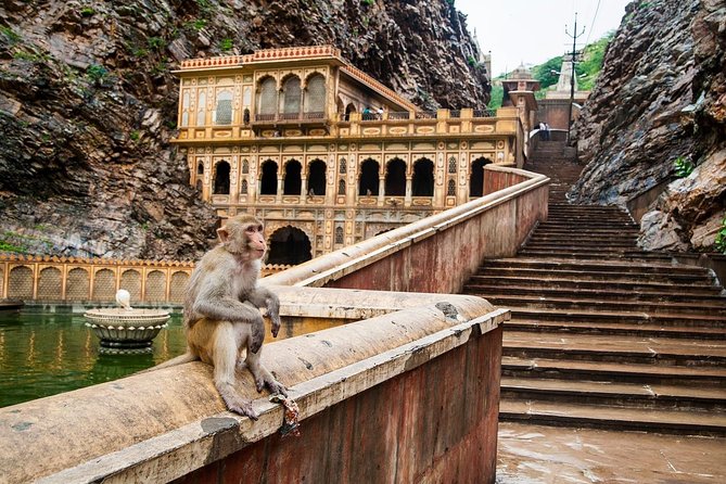 Private 6 Hours: Jaipur Temples Tour - Galtaji’s seven sacred springs
