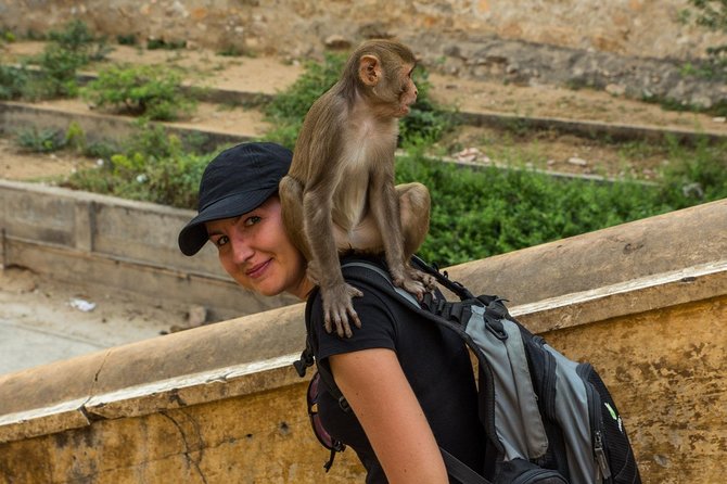 Private 6 Hours: Jaipur Temples Tour - Khole Ke Hanuman Ji and Jaipur’s Tuesday energy