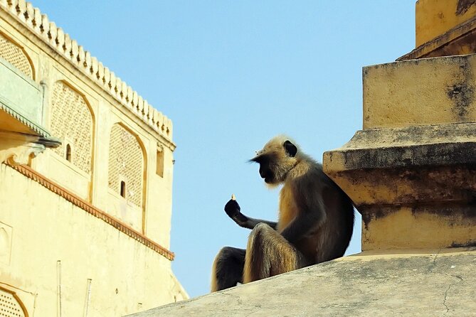 Private Day Tour of Jaipur with a Guide and Including Lunch - City Palace and the mix of Rajput and Mughal style