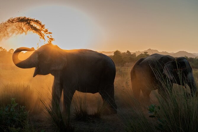 Private Elephant Sanctuary - Key points at a glance