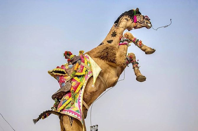 Private Full Day Jaipur Sightseeing Tour By Tuk-Tuk (Rickshaw) - Why a tuk-tuk works so well in Jaipur