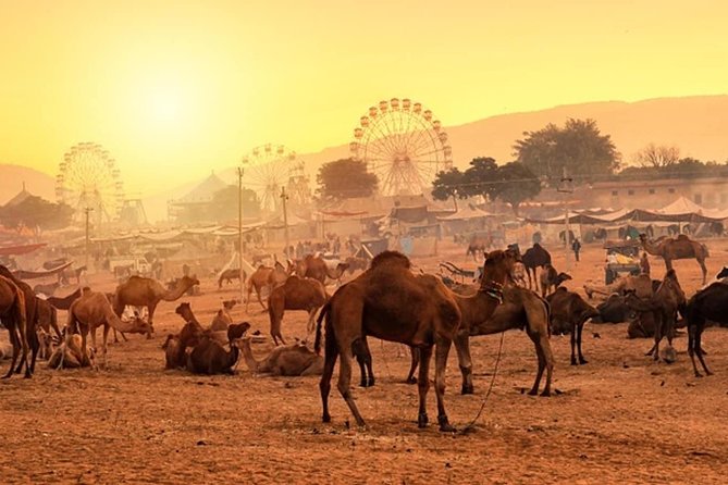Private One Day Trip to Pushkar from Jaipur - Dargah Sharif, Ajmer’s powerful first stop