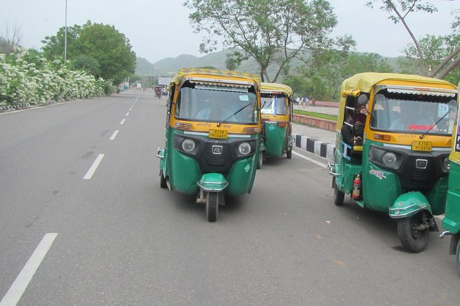 Private Tuk-Tuk Tour of Jaipur with Guide - Royal Gaitor: carved memorials away from the main route