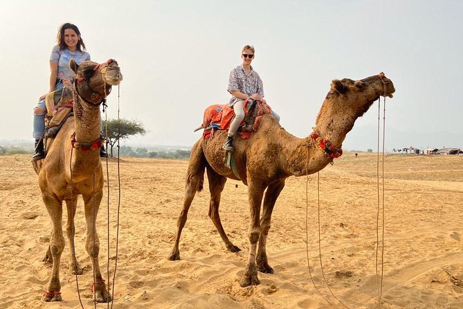 Pushkar Day Trip from Jaipur – Private Car, Safari, Guide & Lunch - Why Pushkar works as a day trip from Jaipur