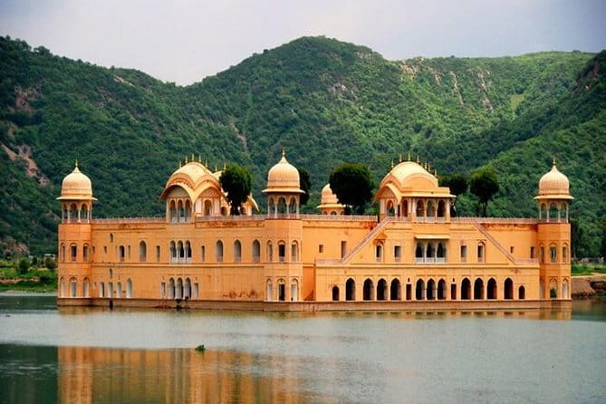 Ranthambore Tiger Safari Private Same Day Trip from Jaipur - What the 3.5-hour safari is really like