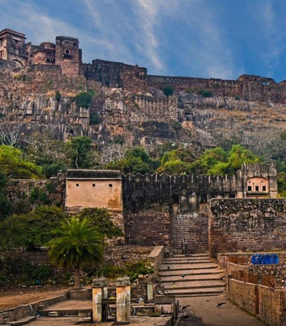 Ranthambore WildLife (tiger safari)Full Day Tour From Jaipur - The search for tigers