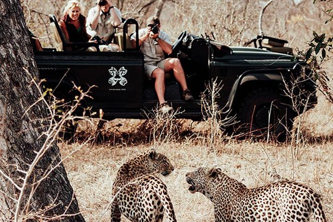 Safari In Jhalana Leopard Conservation Reserve, Jaipur - What the 2 hour 45 minute ride is like