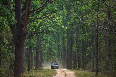 Safari In Jhalana Leopard Conservation Reserve, Jaipur