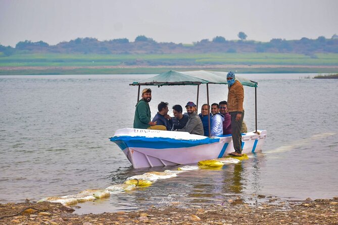 Two Night Safari Experience Ranthambore National Park &Transfers - Returning to Jaipur, or Continuing to Agra