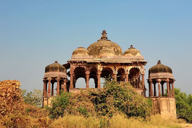 Two Night Safari Experience Ranthambore National Park &Transfers - The Value of Choosing Your Own Hotel