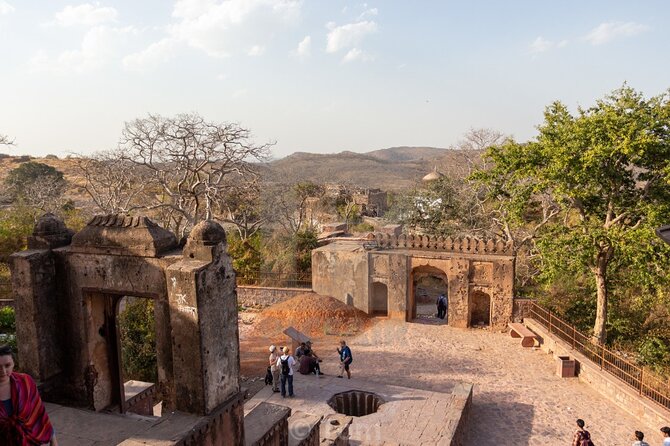 Two Night Safari Experience Ranthambore National Park &Transfers - How the Price Compares With the Experience