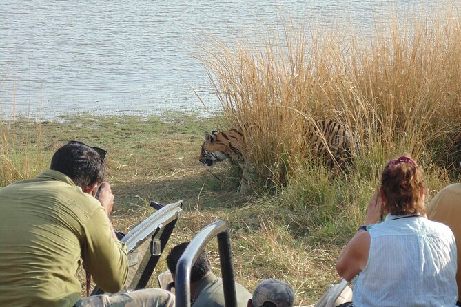 Two Night Safari Experience Ranthambore National Park &Transfers - The Chambal River Boat Safari on Day Three