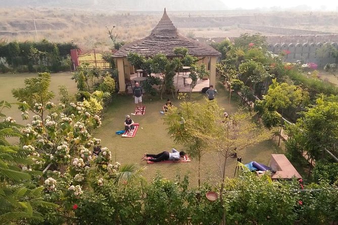 Yoga In Jaipur - A Quiet Yoga Break Near Amer